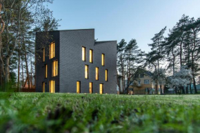 Juodasis Gintaras, Palanga